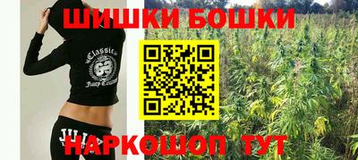 стаф Кохма