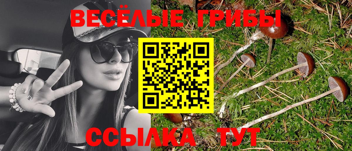 Воркута  Псилоцибиновые грибы Psilocybine cubensis  Вход с VPN 